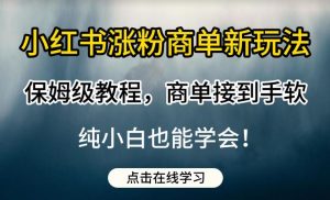 小红书涨粉商单新玩法,保姆级教程,商单接到手软,纯小白也能学会【揭秘】-虚拟资源库