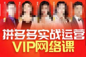 推易拼多多VIP全套直播课程,拼多多店铺实操玩法+实战玩法选款内功+直通车高阶等-虚拟资源库
