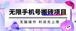 无脑搬砖项目-无限接码撸红包收益无上限【揭秘】-虚拟资源库