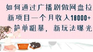 如何通过广播剧做网盘拉新项目一个月收入18000+，简单粗暴，新玩法曝光【揭秘】-虚拟资源库