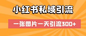 小红书私域引流,一张图片一天引流300+【揭秘】-虚拟资源库