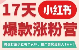 17天小红书爆款涨粉营(广告变现方向),教你打造小红书博主IP、接广告变现的-虚拟资源库