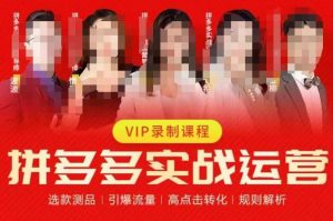 2023推易拼多多实战运营,选款测品、引爆流量、高点击转化、规则解析-虚拟资源库