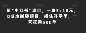 新“小红书”项目,一单5/10元,0成本搬砖项目,抓住开学季,一天狂卖300单【揭秘】-虚拟资源库