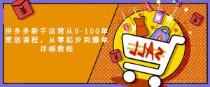 拼多多新手运营从0-100单策划课程,从零起步到爆单详细教程-虚拟资源库