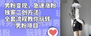 男粉变现,急速涨粉独家二创方法,全套流程教你玩转“男粉项目”【揭秘】-虚拟资源库