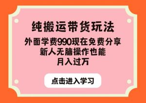 纯搬运带货玩法，外面学费990现在免费分享，新人无脑操作也能月入过万【揭秘】-虚拟资源库