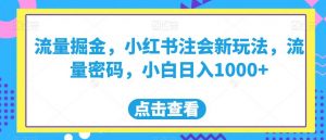 流量掘金,小红书注会新玩法,流量密码,小白日入1000+【揭秘】-虚拟资源库