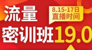 秋秋线上流量密训班19.0,打通流量关卡,线上也能实战流量破局-虚拟资源库
