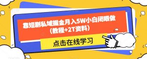 靠短剧私域掘金月入5W小白闭眼做(教程+2T资料)-虚拟资源库