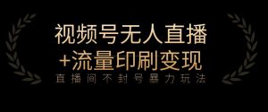 全网首发视频号不封号无人直播暴利玩法+流量印刷机变现,日入1000+【揭秘】-虚拟资源库