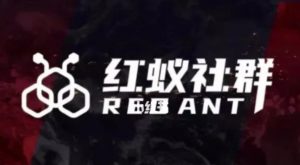社群运营:红蚁社群【48节落地系统课程+2000人高端社群】-虚拟资源库