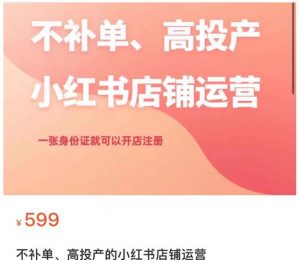 不补单、高投产的小红书店铺运营,一张身份证就可以开店注册-虚拟资源库