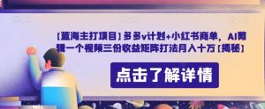 【蓝海主打项目】多多v计划+小红书商单,AI剪辑一个视频三份收益矩阵打法月入十万【揭秘】-虚拟资源库