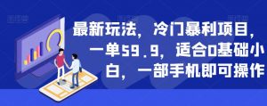 最新玩法,冷门暴利项目,一单59.9,适合0基础小白,一部手机即可操作【揭秘】-虚拟资源库