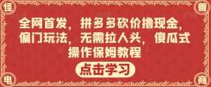 全网首发，拼多多砍价撸现金，偏门玩法，无需拉人头，傻瓜式操作保姆教程【揭秘】-虚拟资源库