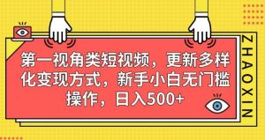 第一视角类短视频，更新多样化变现方式，新手小白无门槛操作，日入500+【揭秘】-虚拟资源库