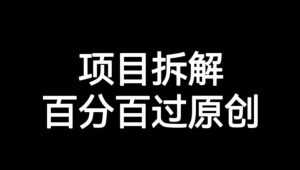 项目拆解赛道百分百过原创【揭秘】-虚拟资源库