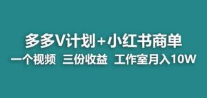 【蓝海项目】多多v计划+小红书商单一个视频三份收益工作室月入10w-虚拟资源库