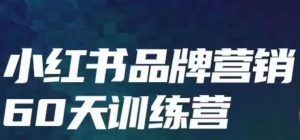 小红书品牌60天训练营第6期,GMV2亿级品牌老板都在学,教会你内容营销底层逻辑-虚拟资源库