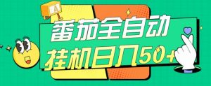 番茄全自动挂机日入50+，软件全自动，多号破百【揭秘】-虚拟资源库