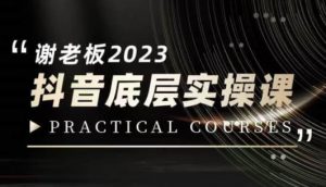 蟹老板·2023抖音底层实操课,打造短视频的底层认知-虚拟资源库