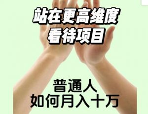 2023最火项目：站在更高维度看待项目，普通人如何月入十万【揭秘】-虚拟资源库