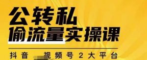 群响公转私偷流量实操课，致力于拥有更多自持，持续，稳定，精准的私域流量！-虚拟资源库