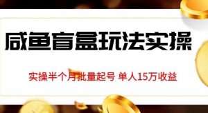 独家首发咸鱼盲盒玩法实操，半个月批量起号单人15万收益【揭秘】-虚拟资源库