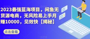 2023最强蓝海项目,闲鱼无货源电商,无风险易上手月赚10000,见效快【揭秘】-虚拟资源库