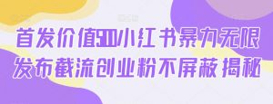 首发价值5100小红书暴力无限发布截流创业粉不屏蔽揭秘-虚拟资源库