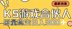 快手游戏合伙人新项目，新手小白也可日入300+，工作室可大量跑-虚拟资源库