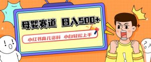 小红书育儿资料,一部手机可操作,多种变现方式,日入500+,私域变现,长期可持续项目【揭秘】-虚拟资源库