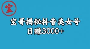宝哥揭秘抖音美女号玩法,日赚3000+【揭秘】-虚拟资源库