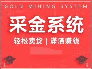 采金系统2.0,私域成交,快速成交收钱,轻松卖货,业绩暴涨,潇洒赚钱-虚拟资源库