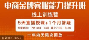 电商金牌客服能力提升班,提升客服能力是你店铺业绩的关键要素-虚拟资源库