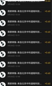 接码无限撸红包一分钟0.6无脑操作一天保底利润200-虚拟资源库
