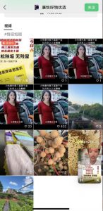 外面收费198的最新视频号连怼技术,条条原创,条条爆单【揭秘】-虚拟资源库
