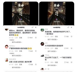 副业拆解:抖音杰伦音乐号涨粉变现项目,视频版一条龙实操玩法分享给你-虚拟资源库