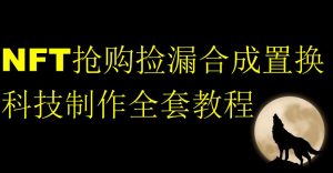 NFT抢购捡漏合成置换科技制作全套教程-虚拟资源库