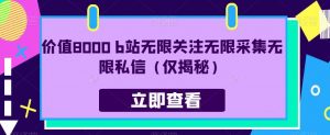 价值8000 b站无限关注无限采集无限私信（仅揭秘）-虚拟资源库