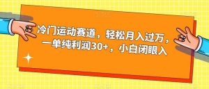 冷门运动赛道,轻松月入过万,一单纯利润30+,小白闭眼入【揭秘】-虚拟资源库