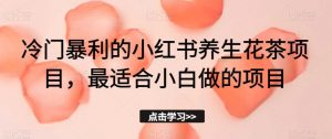 冷门暴利的小红书养生花茶项目,最适合小白做的项目【揭秘】-虚拟资源库