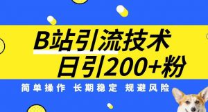 B站引流技术：每天引流200精准粉，简单操作，长期稳定，规避风险-虚拟资源库