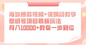 海外爆款视频+保姆级教学，壁纸号项目最新玩法，月入10000+教你一步到位【揭秘】-虚拟资源库