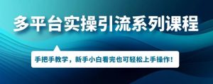 多平台引流实操系列课程,新手小白看完也可轻松上手进行引流操作-虚拟资源库
