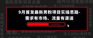 9月首发最新男粉项目实操思路-需求有市场，流量有渠道【揭秘】-虚拟资源库
