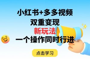 多多视频+小红书，双重变现新玩法，可同时进行【揭秘】-虚拟资源库