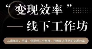 变现效率线下工作坊,从播直间、私域、视短频个三维度,升级IP和团队变现效率-虚拟资源库