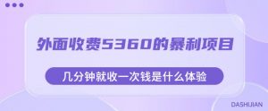 外面收费5360的暴利项目,几分钟就收一次钱是什么体验,附素材【揭秘】-虚拟资源库